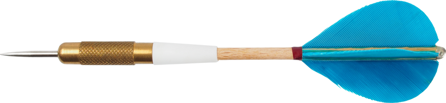 Dart